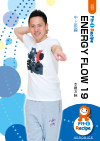 ENERGY FLOW 19