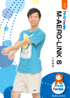 M-AERO-LINK 6