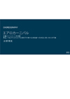 エアロカーニバル